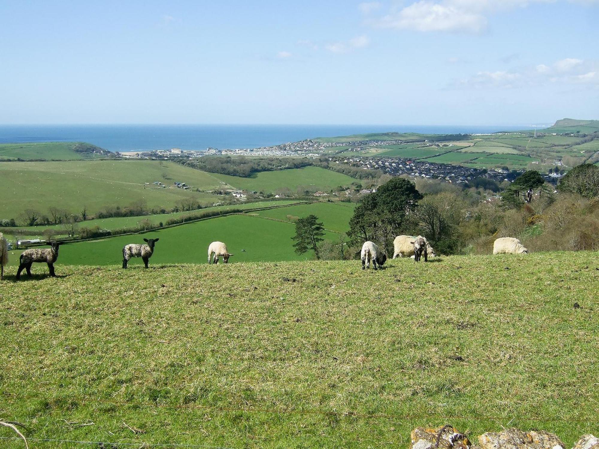 Woodbrook Cottage Bridport Luaran gambar